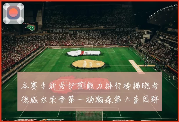 本赛季新秀护筐能力排行榜揭晓考德威尔荣登第一杨瀚森第六奎因跻身前十